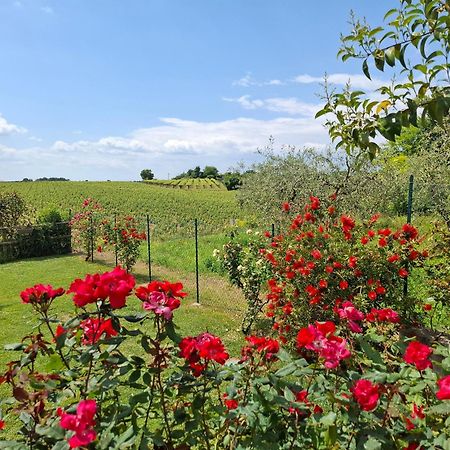 Villa Poggio バルドリーノ エクステリア 写真