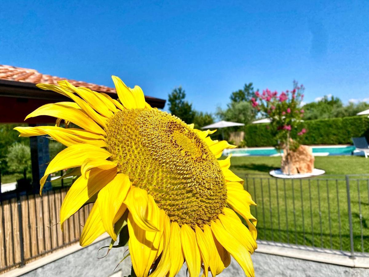 Villa Poggio バルドリーノ エクステリア 写真