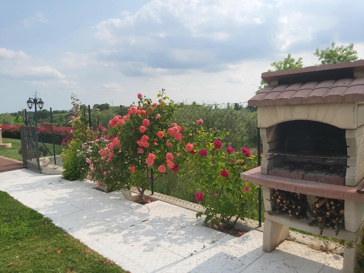 Villa Poggio バルドリーノ エクステリア 写真