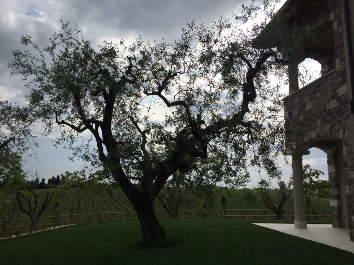 Villa Poggio バルドリーノ エクステリア 写真