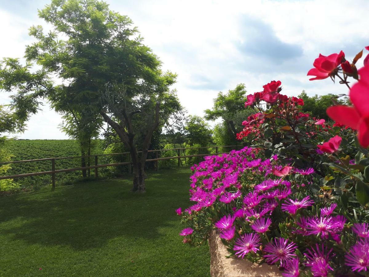 Villa Poggio バルドリーノ エクステリア 写真