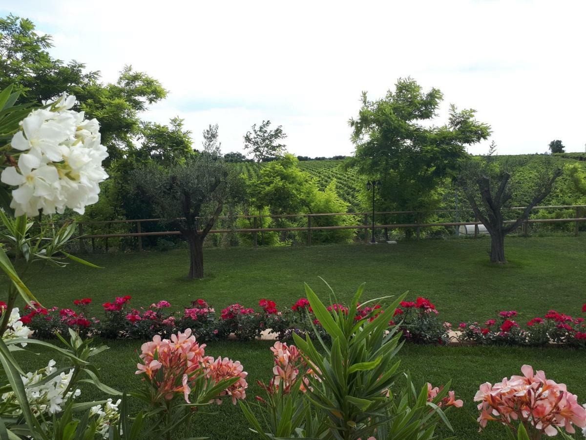 Villa Poggio バルドリーノ エクステリア 写真
